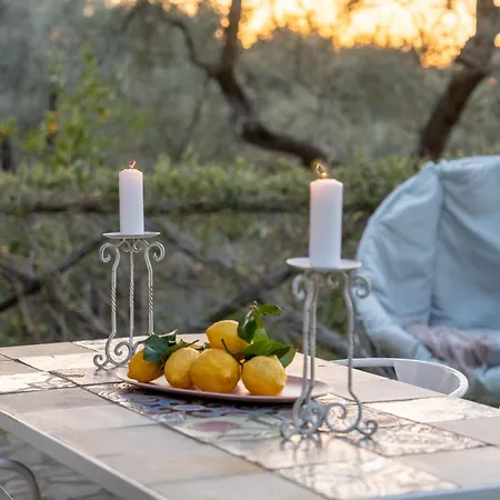 Margherita Garden Villa *